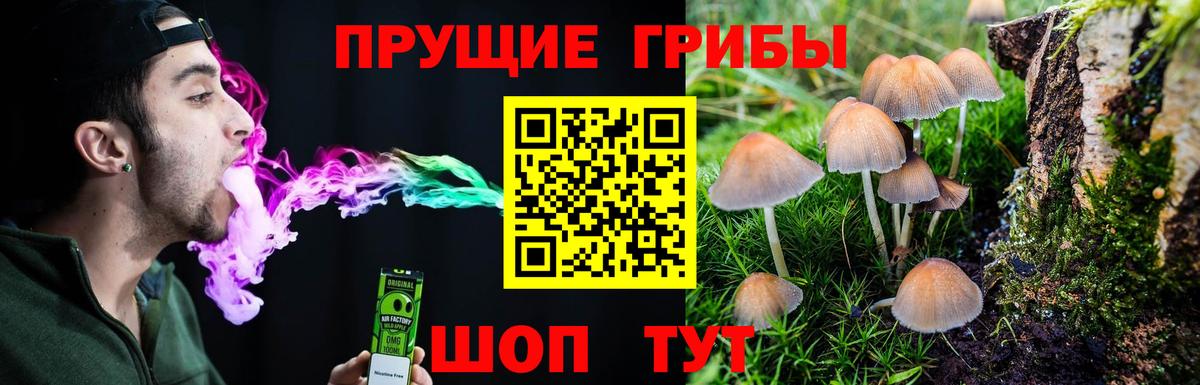 Галлюциногенные грибы Cubensis Белореченск